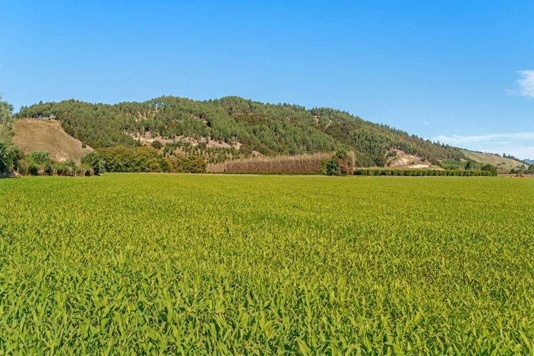 Photo of property in 191 Papatu Road, Manutuke, Gisborne, 4072