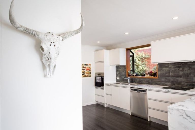 Photo of property in 69 Aberdeen Road, Saint Clair, Dunedin, 9012