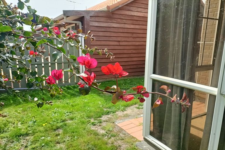 Photo of property in 8 Pattie Street, Petone, Lower Hutt, 5012