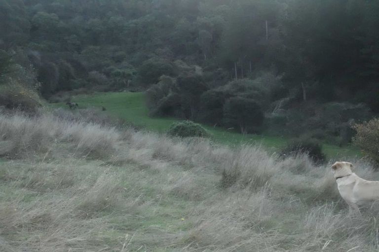 Photo of property in 61 Coutts Gully Road, Taieri Beach, Brighton, 9091