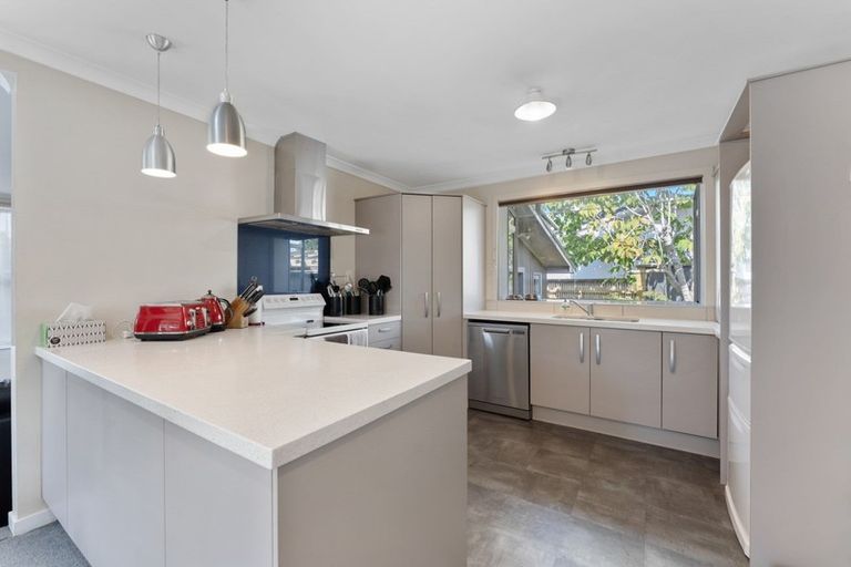 Photo of property in 19 Mudgway Place, Awapuni, Palmerston North, 4412