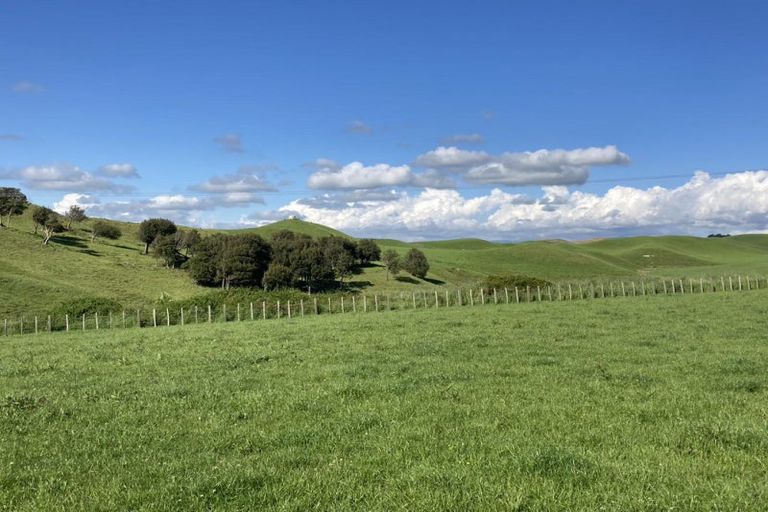 Photo of property in 398 Finnis Road, Pohangina, Ashhurst, 4775