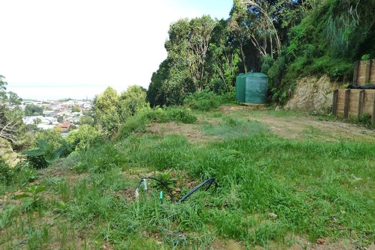 Photo of property in 316 Tararu Sh25 Road, Thames, 3500