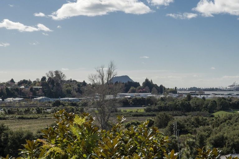 Photo of property in 10 Neil Place, Gate Pa, Tauranga, 3112