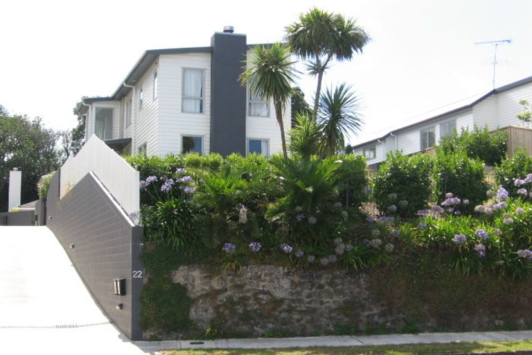 Photo of property in 22 Rowan Road, Epsom, Auckland, 1023