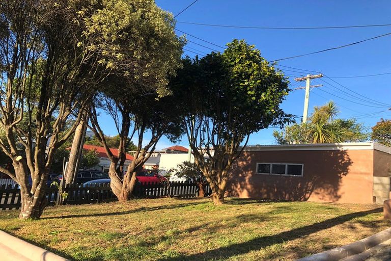 Photo of property in 19 Cleveland Street, Brooklyn, Wellington, 6021