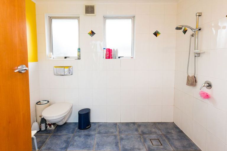 Photo of property in 162 Limbrick Street, Terrace End, Palmerston North, 4410