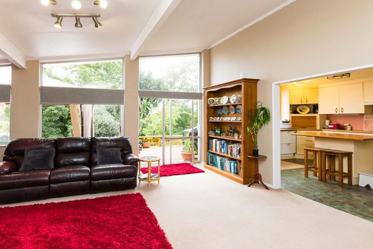 Photo of property in 162 Limbrick Street, Terrace End, Palmerston North, 4410
