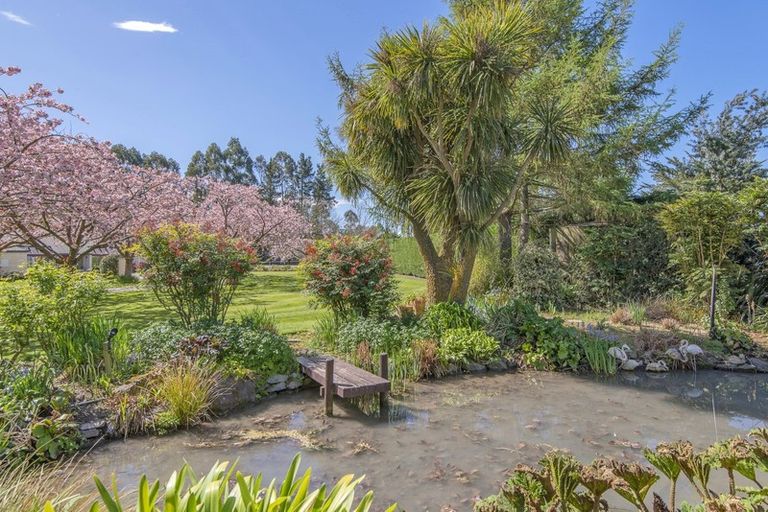 Photo of property in 101 Mchughs Road, Swannanoa, Kaiapoi, 7692