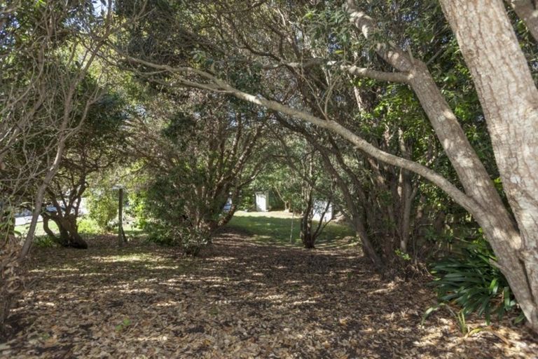 Photo of property in 44 Freyberg Crescent, Waikanae Beach, Waikanae, 5036