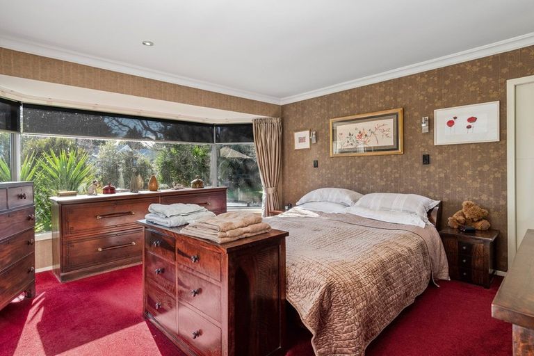 Photo of property in 163 Ross Road, Whakamarama, Tauranga, 3179