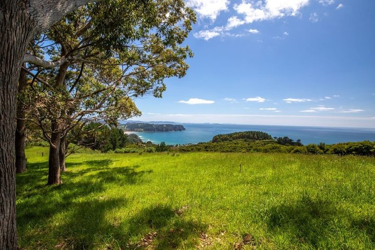 Photo of property in 425m Boat Harbour Road, Whenuakite, Whitianga, 3591