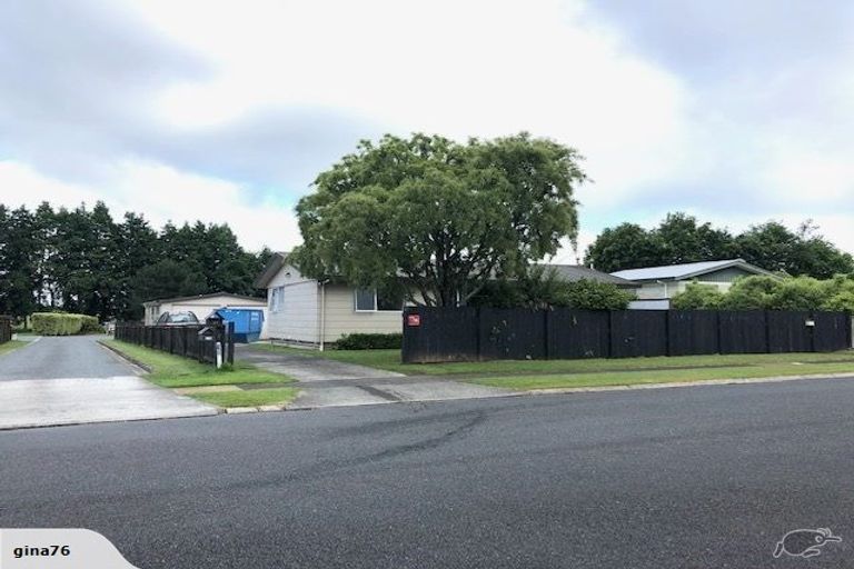 Photo of property in 25 Sheffield Street, Matamata, 3400