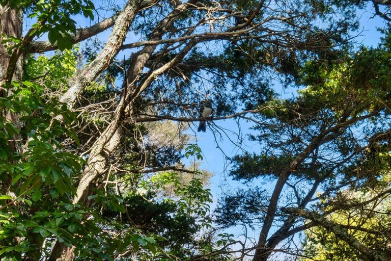 Photo of property in 15 Turiapua Lane, Parua Bay, Whangarei, 0174