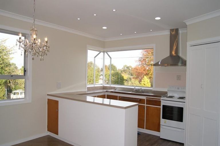 Photo of property in 40 Alison Street, Hamilton Lake, Hamilton, 3204