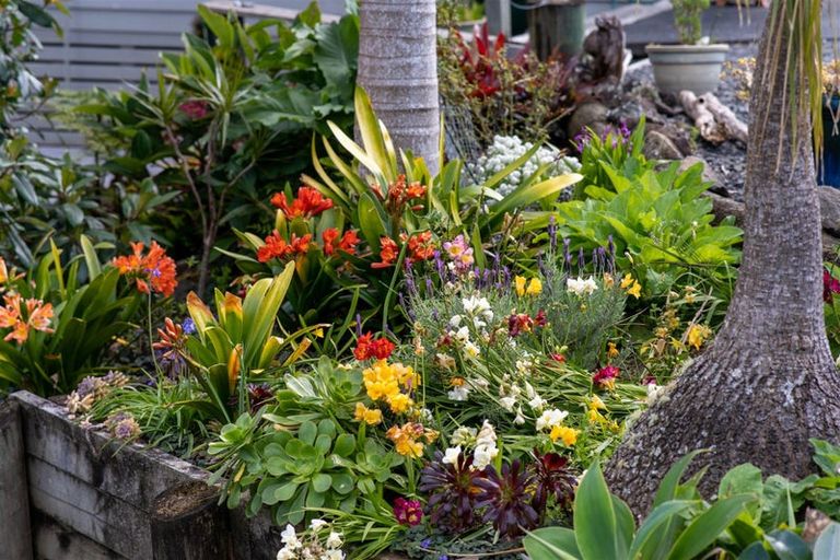 Photo of property in 745b Waikino Road, Karetu, Kawakawa, 0283