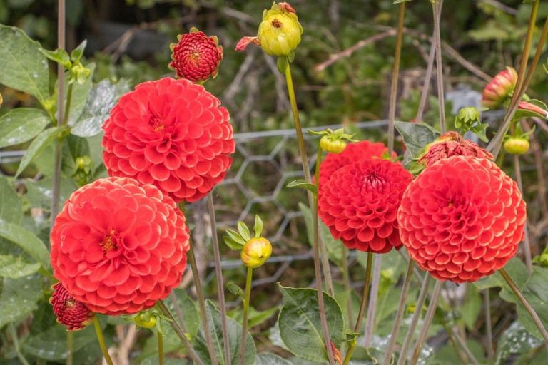 Photo of property in 10 Richmal Street, Waihi, 3610