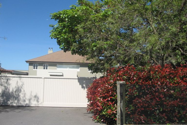 Photo of property in 355 Youngson Road, Whakamarama, Tauranga, 3179