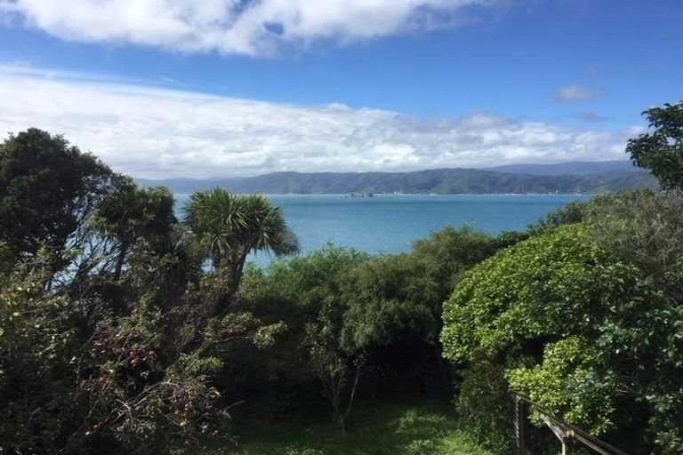 Photo of property in 9 Tai Paku Paku Road, Karaka Bays, Wellington, 6022
