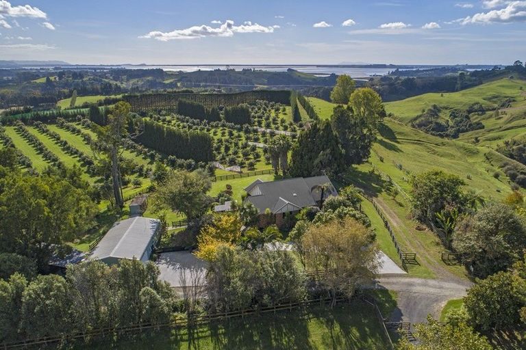 Photo of property in 63d Lowe Road, Whakamarama, Tauranga, 3180