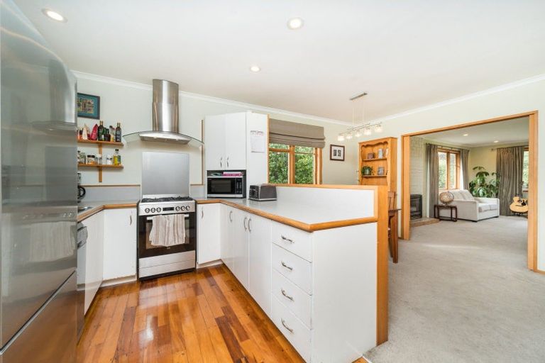 Photo of property in 6 Patea Place, Terrace End, Palmerston North, 4410
