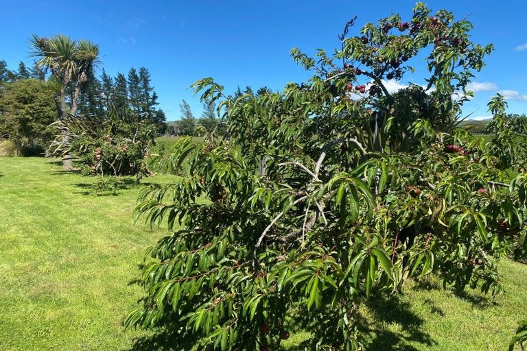 Photo of property in 218 Munro Road, Cheviot, 7382