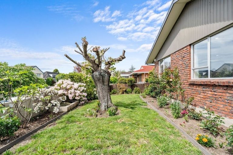 Photo of property in 207 Maidstone Road, Avonhead, Christchurch, 8042