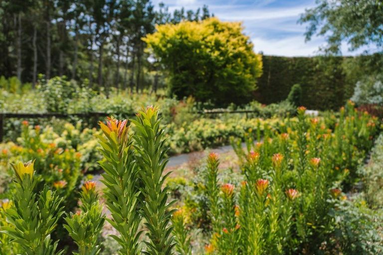 Photo of property in 259 Wainui Road South, Whakamarama, Katikati, 3181