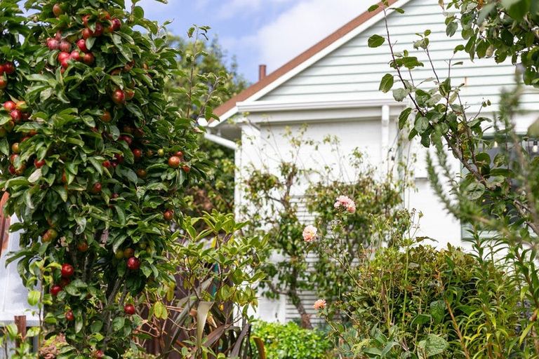 Photo of property in 21 Hindmarsh Street, Johnsonville, Wellington, 6037