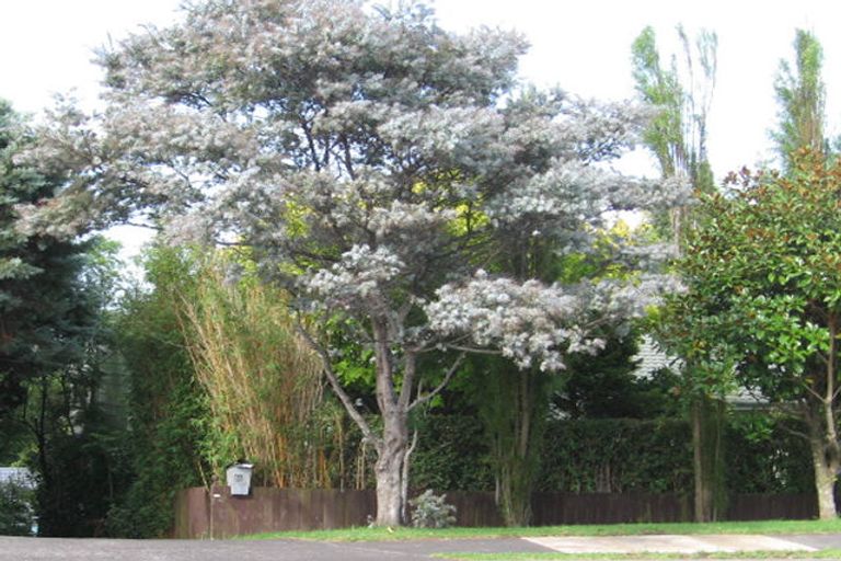 Photo of property in 51 Hobsonville Road, West Harbour, Auckland, 0618