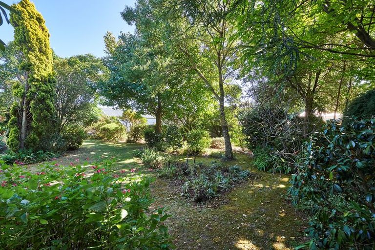 Photo of property in 34 Manson Street, Terrace End, Palmerston North, 4410