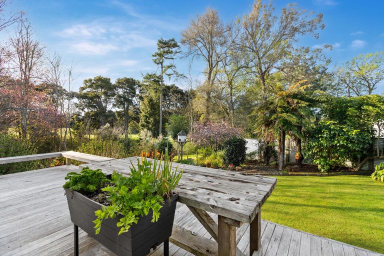 Photo of property in 20 Sequoia Place, Morrinsville, 3300