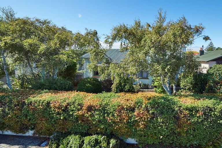 Photo of property in 34 Manson Street, Terrace End, Palmerston North, 4410