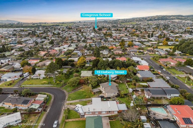 Photo of property in 19 Halberg Street, Papakura, 2110
