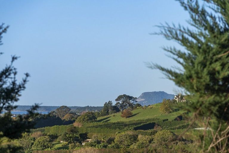 Photo of property in 101 Turntable Hill Road, Whakamarama, Katikati, 3181