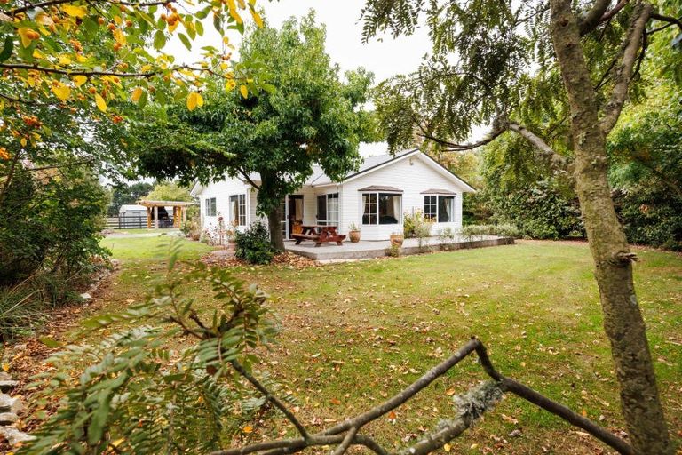 Photo of property in 232 Nannestads Line, Bunnythorpe, Feilding, 4775