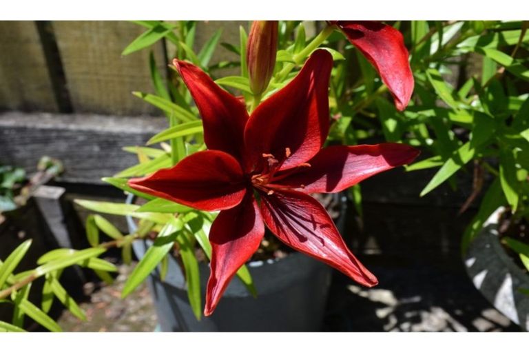 Photo of property in 71 River Road, Kawerau, 3127