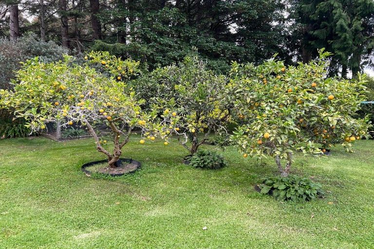 Photo of property in 46 Corbetts Road, Manakau, Otaki, 5583