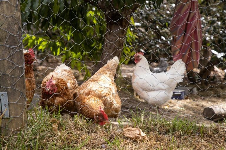 Photo of property in 9 Pakiri Road, Leigh, Warkworth, 0985