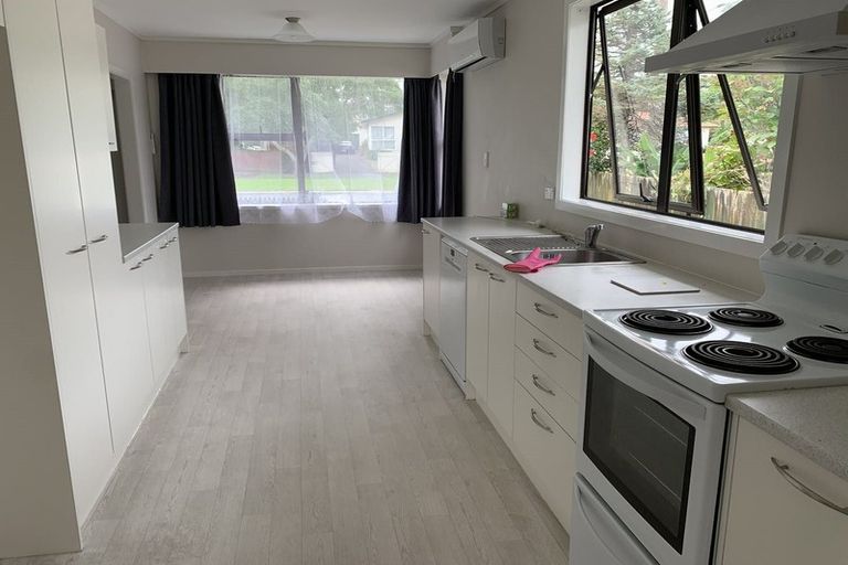 Photo of property in 53 Universal Drive, Henderson, Auckland, 0610