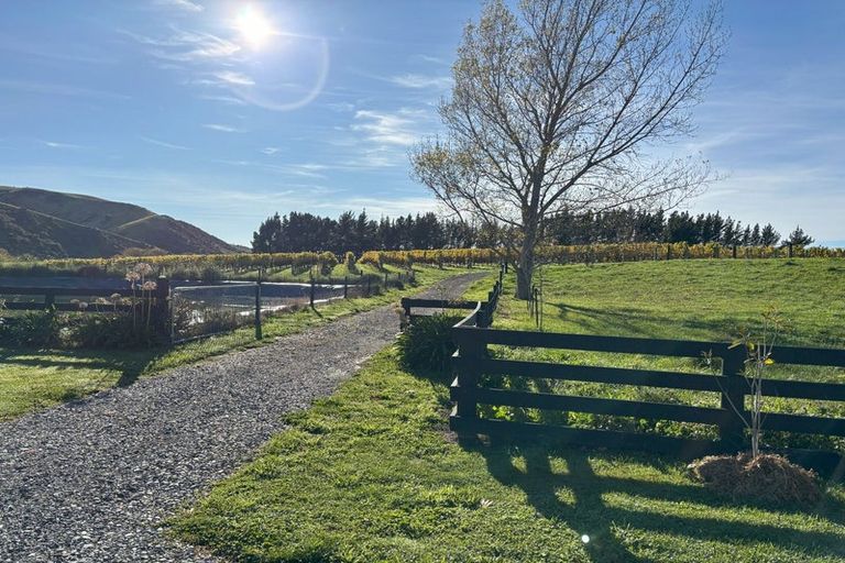 Photo of property in 441 Blind River Road, Blind River, Seddon, 7285