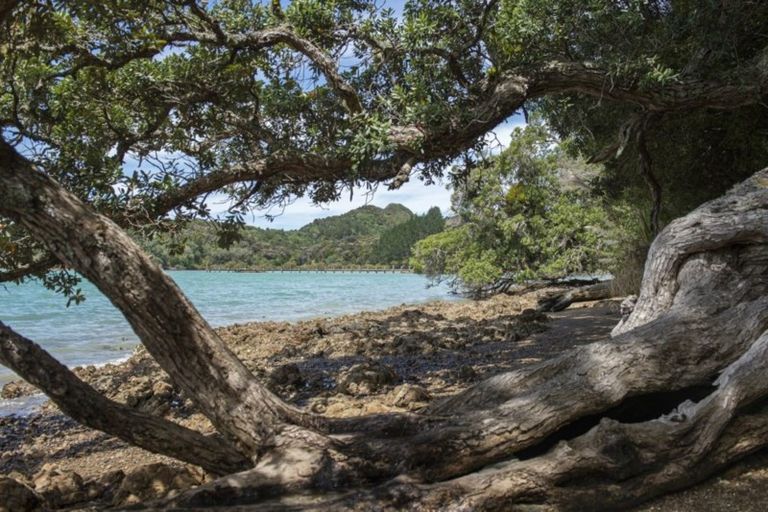 Photo of property in 90 Tahunatapu Road, Parua Bay, Whangarei, 0174