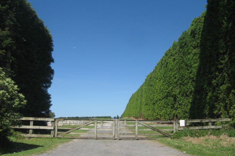 Photo of property in 367 Youngson Road, Whakamarama, 3179