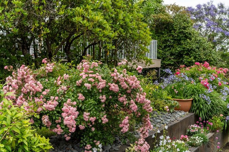 Photo of property in 17 Johnsview Terrace, Hillcrest, Hamilton, 3216