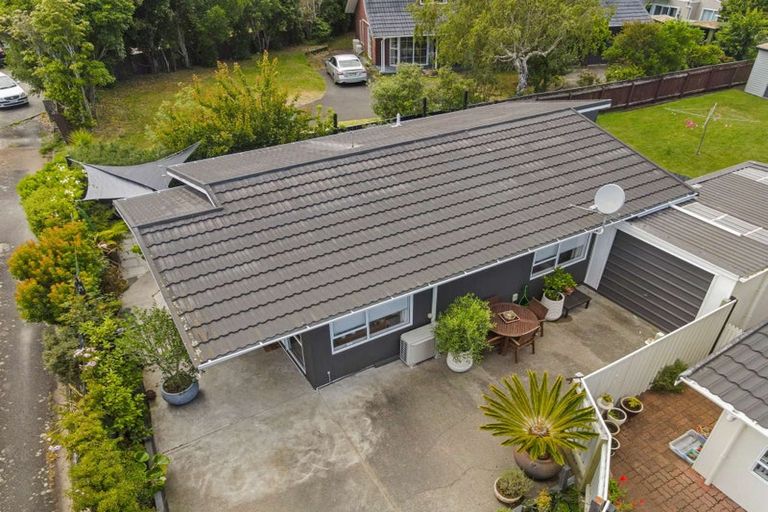 Photo of property in 42 Treadwell Street, Springvale, Whanganui, 4501