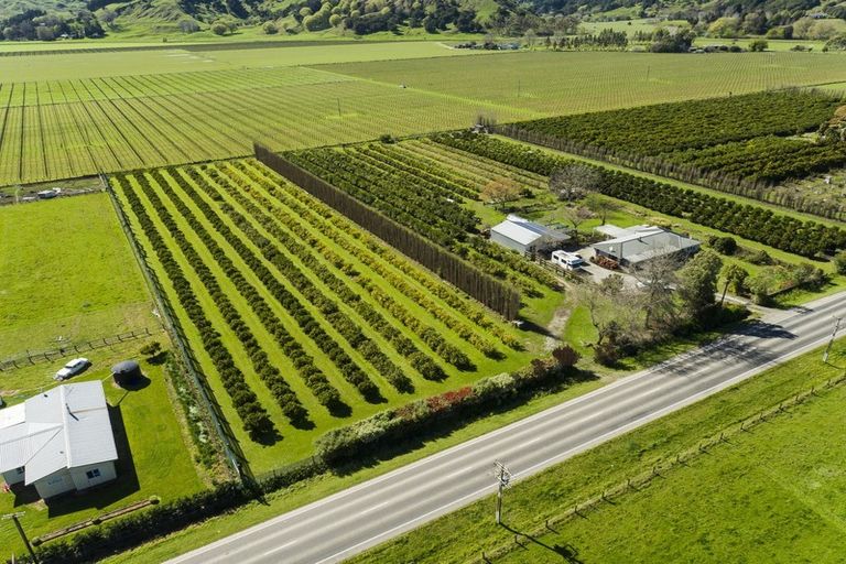 Photo of property in 1286 Matawai Road, Ormond, Gisborne, 4071