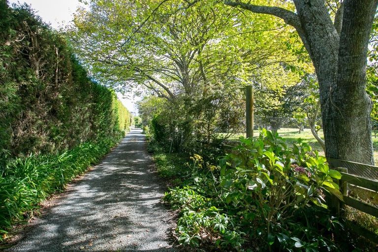 Photo of property in 112 Hoeka Road, Matangi, Hamilton, 3284