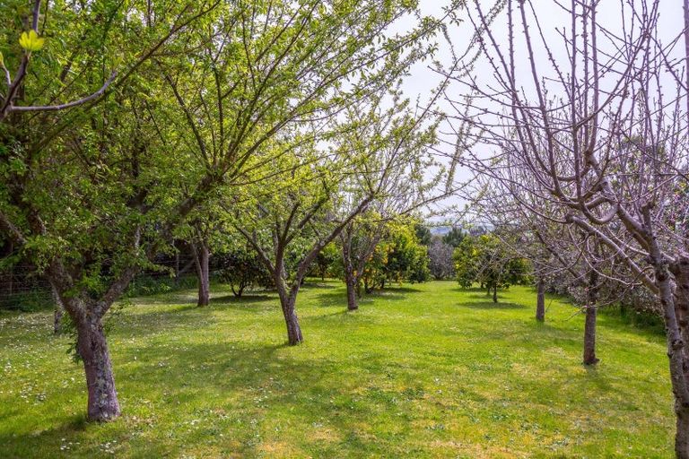 Photo of property in 312e Ahiaruhe Road, Ahiaruhe, Carterton, 5792