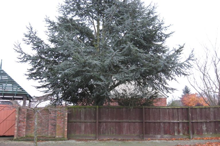 Photo of property in 12 Mitchell Place, Netherby, Ashburton, 7700