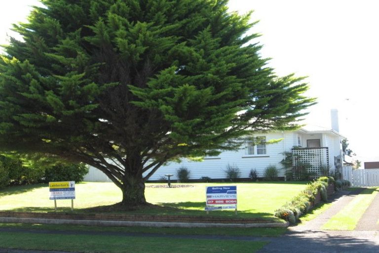 Photo of property in 42 Morvern Crescent, Tokoroa, 3420